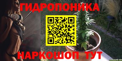 a pvp Ярцево