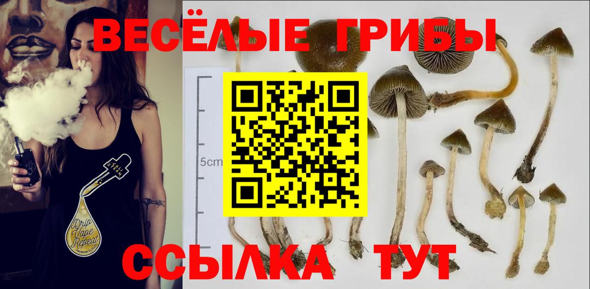 Галлюциногенные грибы Magic Shrooms Воскресенск